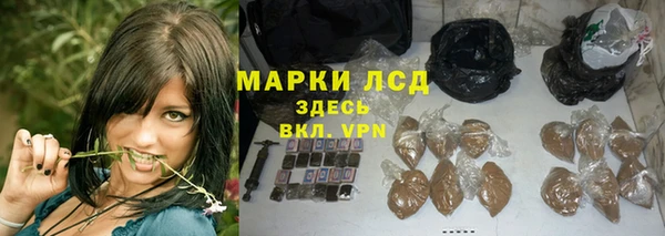 индика Алексеевка