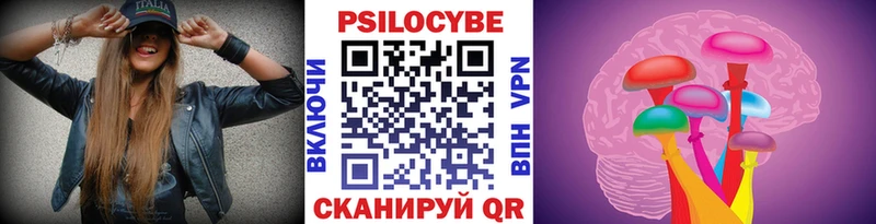блэк спрут маркетплейс Зарайск маркетплейс как зайти Галлюциногенные грибы Psilocybine cubensis